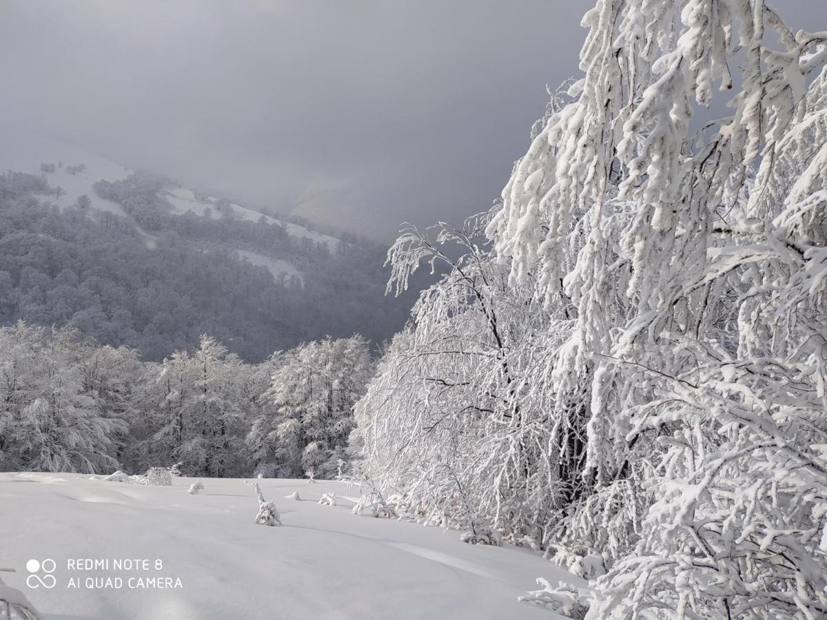 Sadyba Gostynniy Dvir Hotel Izki Bagian luar foto