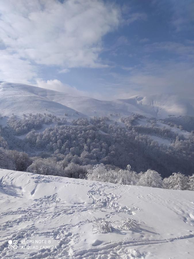 Sadyba Gostynniy Dvir Hotel Izki Bagian luar foto